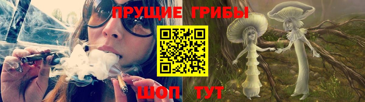 Псилоцибиновые грибы Cubensis Борзя