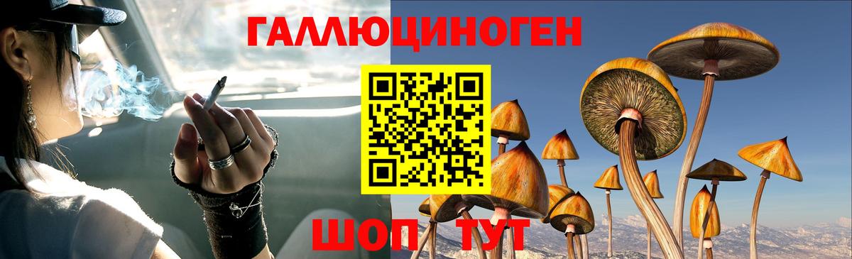 Борзя  Псилоцибиновые грибы Magic Shrooms  Вход с VPN  Галлюциногенные грибы мицелий 